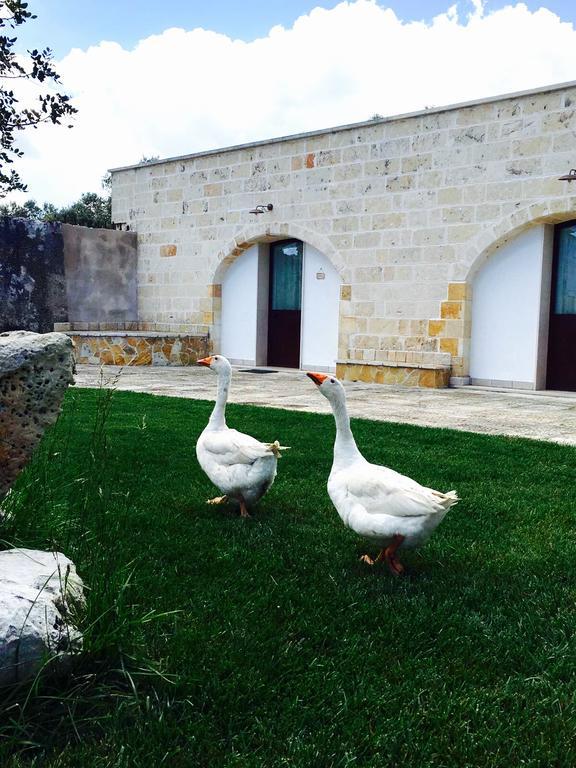 Masseria Pappo Villa Copertino Kültér fotó